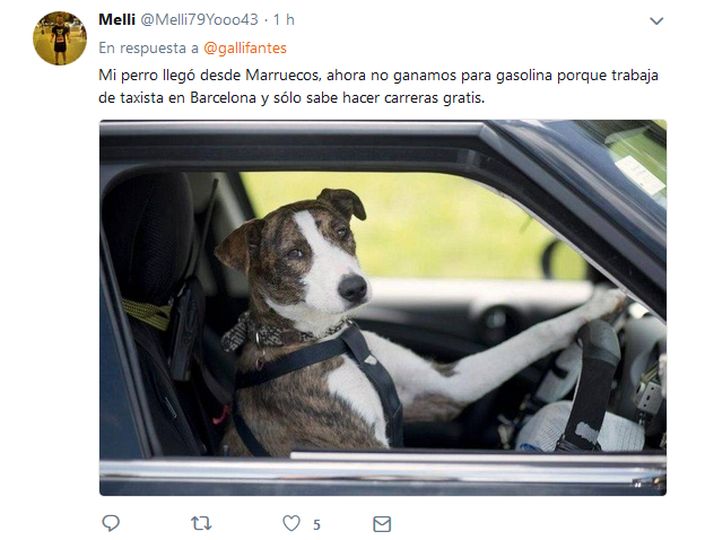 El delirio de una independentista catalana con su perro de Jaén del que se cachonde twitter