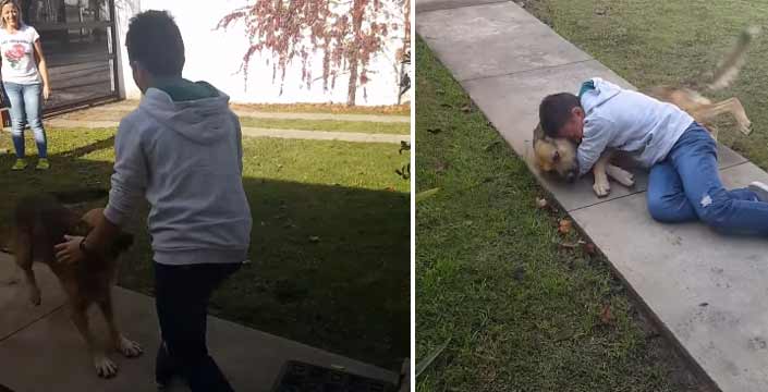 El emotivo reencuentro de un niño con su perro tras ocho meses perdido