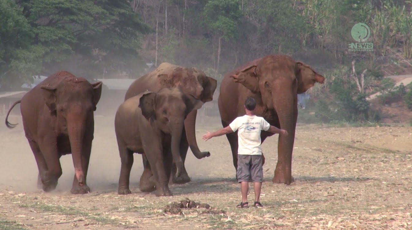 Así de contentos se ponen estos elefantes cuando ven a su humano favorito