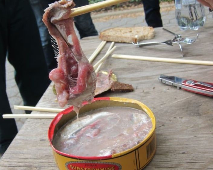 Dos amigos comiendo surströmming, el asqueroso plato sueco