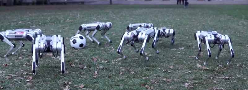 9 robots Mini Cheetah del MIT jugando juntos