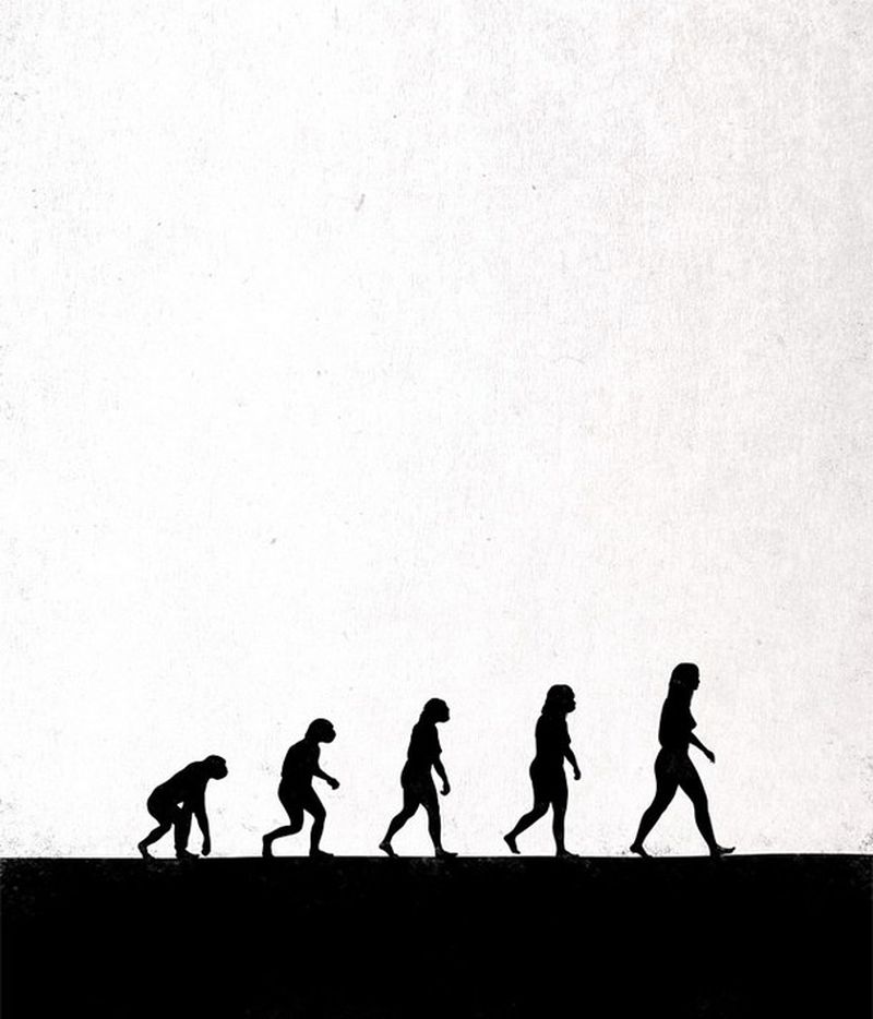 Las minimalistas y divertidas ilustraciones de la evolucion