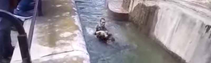 Un hombre borracho salta al recinto de los osos de un zoológico en Polonia e intenta ahogar a uno