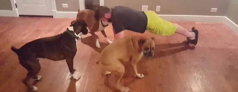 Intenta hacer flexiones... Con sus perros