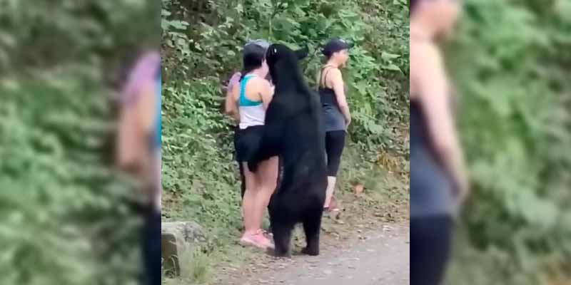 Estas mujeres se encuentran un oso muy curioso