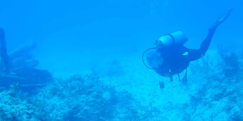 Unos submarinistas escuchan un sonar bajo el agua