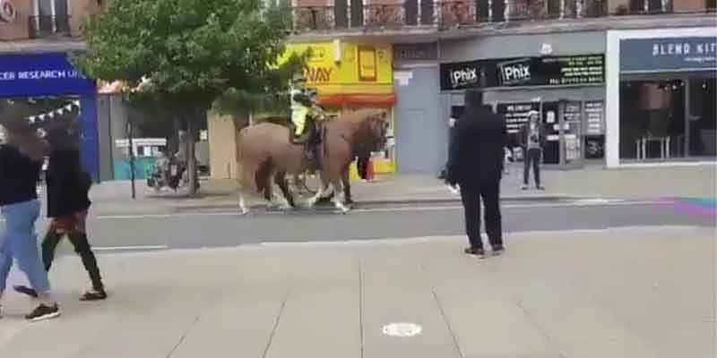 Los caballos de la policía londinense son homófobos
