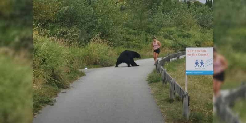 Una corredora tiene un encuentro con un oso negro