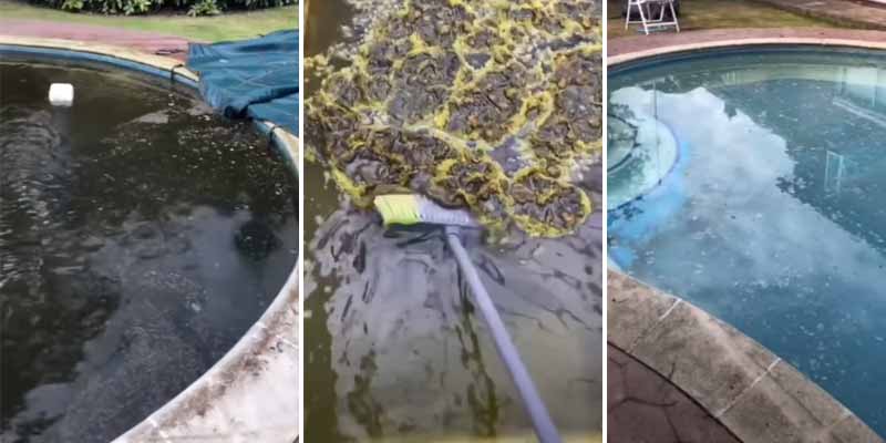 Recopilación de videos limpiando piscinas realmente asquerosas