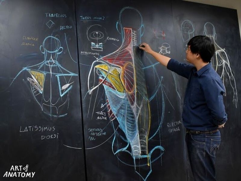 Los increibles dibujos de un profesor de dibujo anatómico