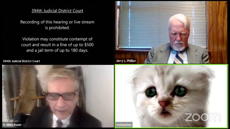 Un abogado pone un filtro de gato en una videollamada de Zoom y no sabe como quitarlo