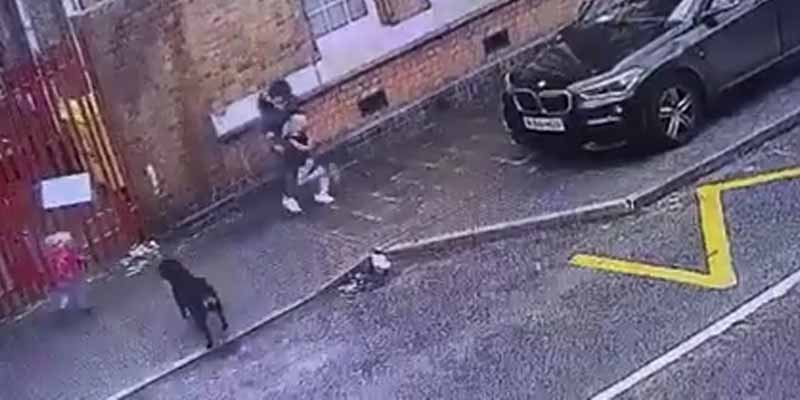 Un perro ataca a una madre y a sus hijos en una calle de Birmingham