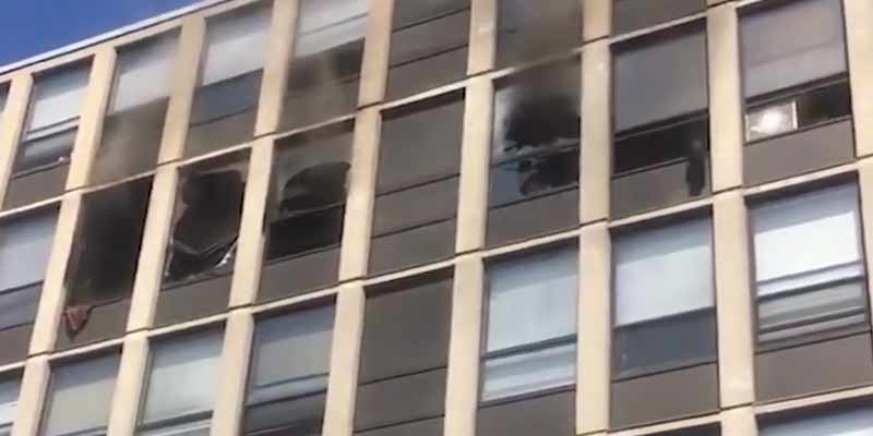 Un gato salta desde un quinto piso durante un incendio y cae como si nada
