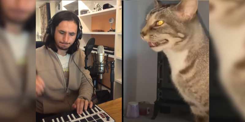 Haciendo música con un gato estornudando