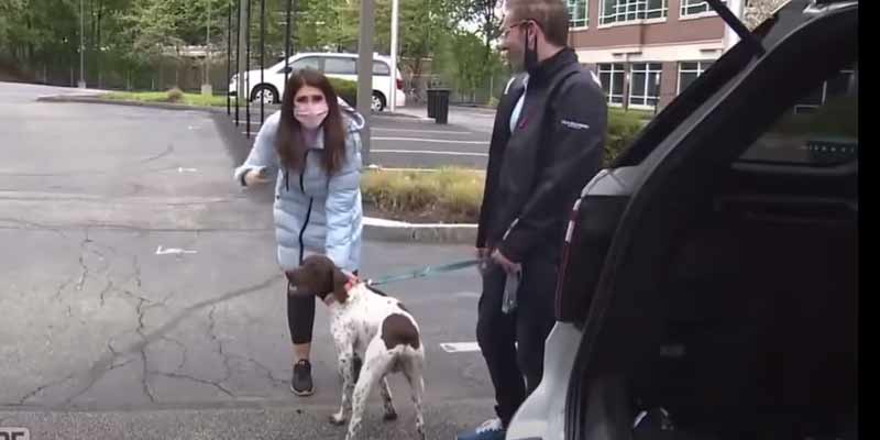 Una reportera cubre la noticia sobre robos de perros cuando encuentra en directo al responsable