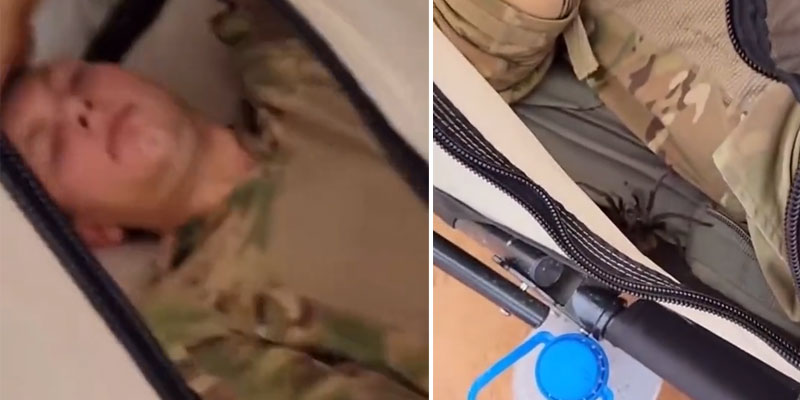 Este soldado se despierta con una tarántula dentro de su tienda