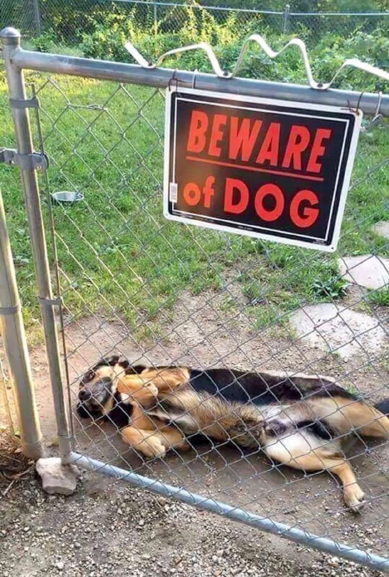 Cuidado con el perro