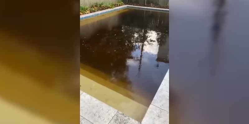 Limpiando una piscina tras el paso del huracán Ida