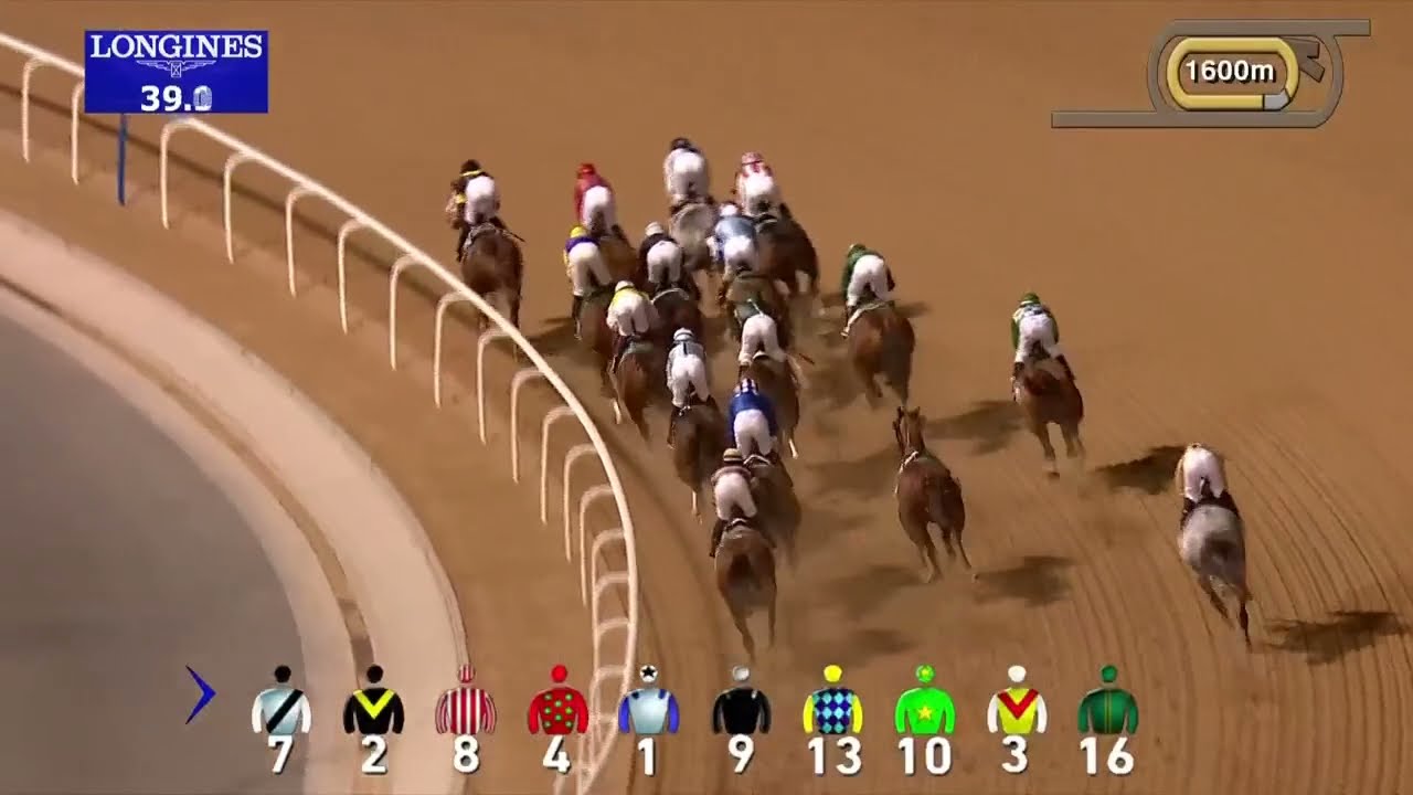 Un caballo pierde a su jockey y acaba ganando la carrera