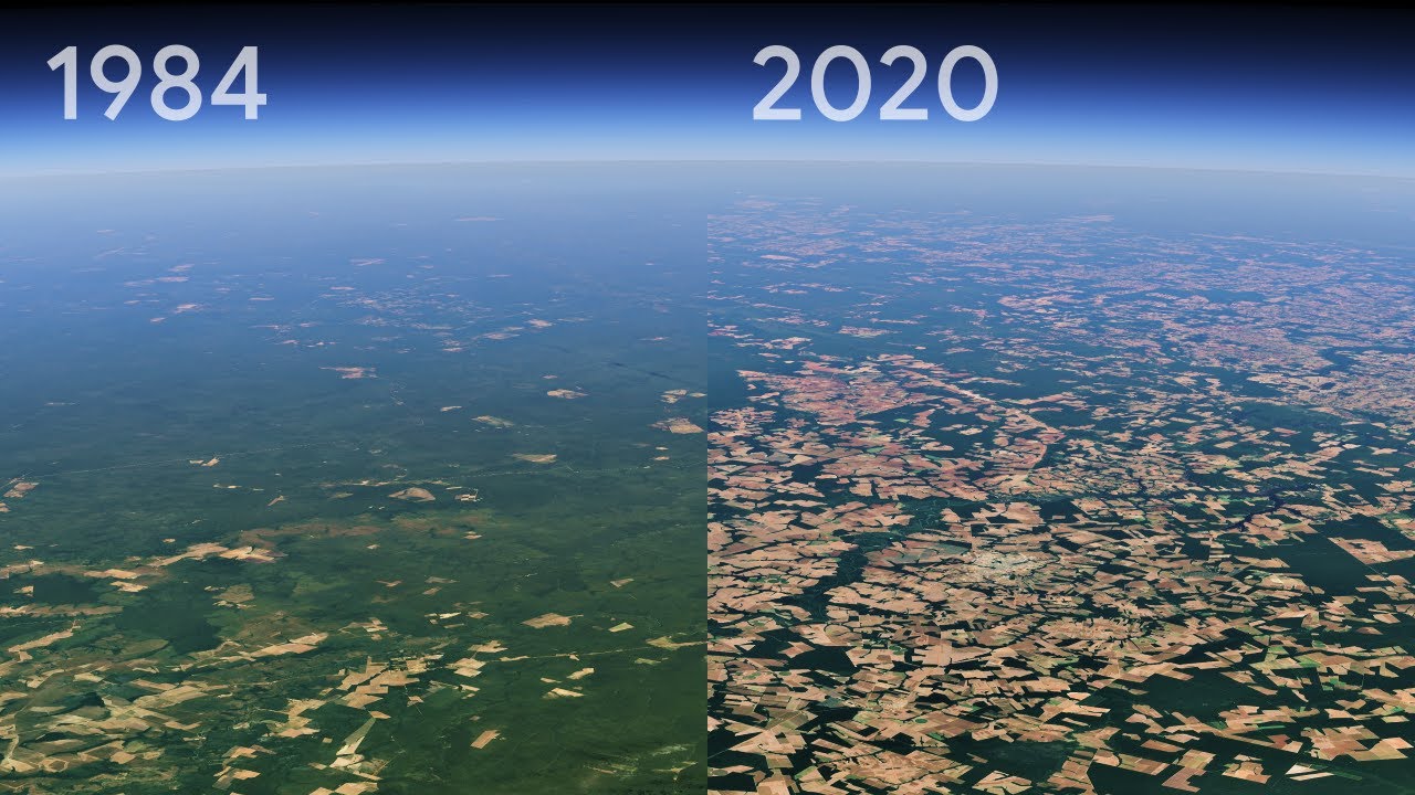 Impactante vídeo: la deforestación del planeta vista desde el espacio en las últimas décadas
