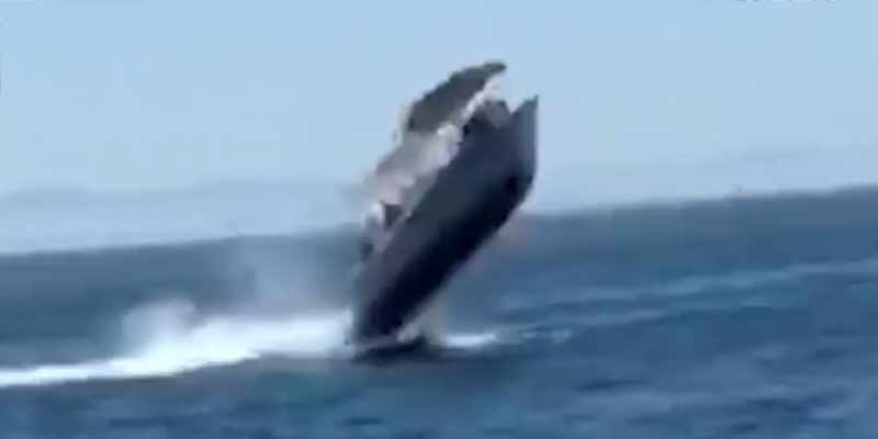 Varios turistas heridos cuando su barco choca con una ballena en La Paz (México)