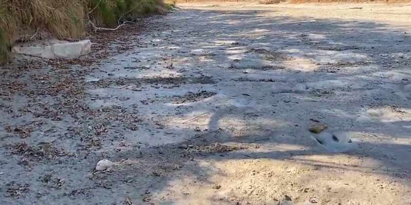 Se descubren huellas de dinosaurio en un río seco en Texas