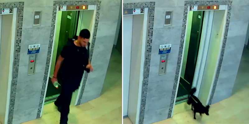 Un policía que va a trabajar salva a un perro que se le queda a la dueña fuera del ascensor