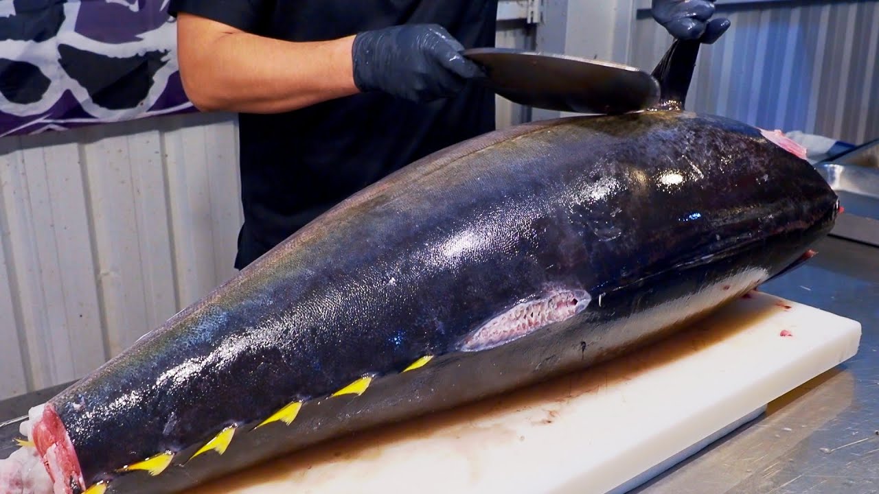 El hipnótico ver con la habilidad que estos japoneses despiezan el atún para hacer el mejor sashimi del mundo