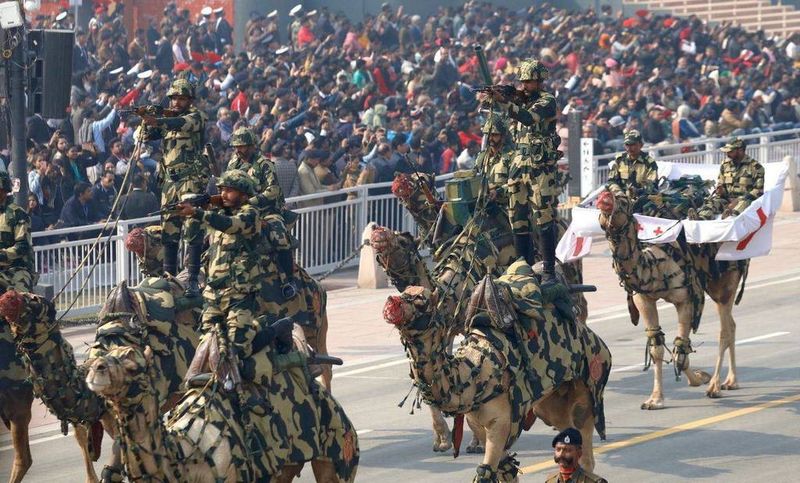 En la India tienen camellos tácticos de combate