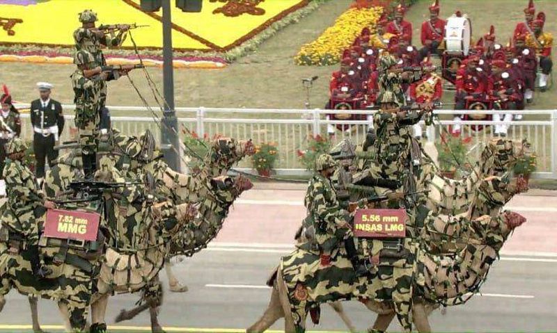 En la India tienen camellos tácticos de combate