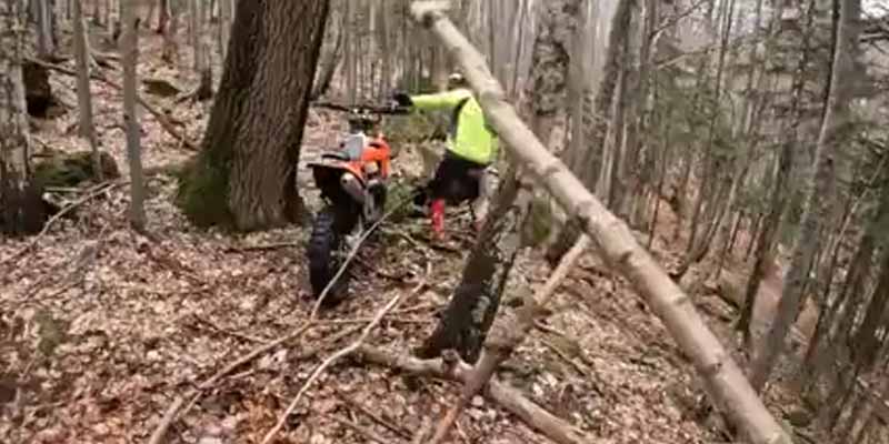 Un oso ataca a un grupo de hombres que hacen motocross en un bosque