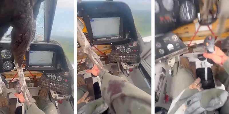 Un ave de gran tamaño se estrella contra el parabrisas de un avión en Ecuador