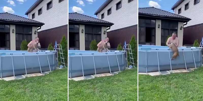 Este perro se vuelve loco porque quiere meterse en la piscina