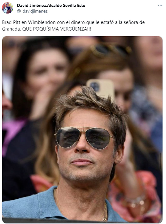 Maldito Brad Pitt