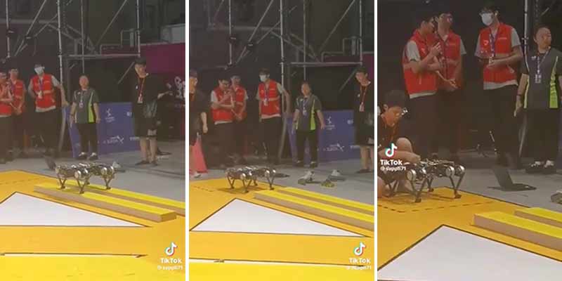 Un robot que se mueve como una pequeña araña saltadora recorriendo un circuito