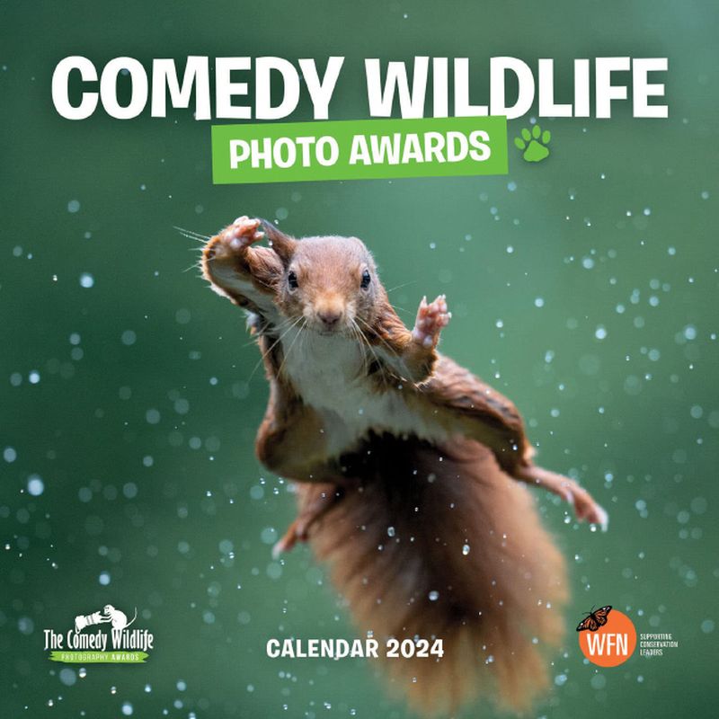 El Calendario 2024 de los Premios de Fotografía de Vida Salvaje Cómica está aquí.