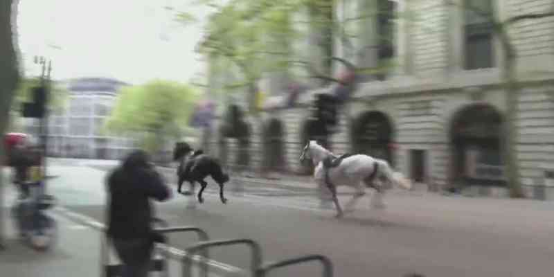 Varios heridos por el desbocamiento de varios caballos en Londres